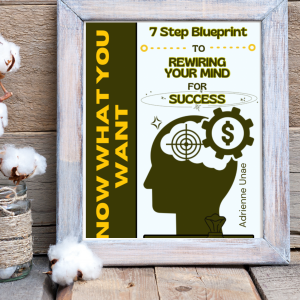 The 7 Step Blueprint to Rewiring Your Mind for Success is one that can assist you along life’s journey. I started over, U can 2.
