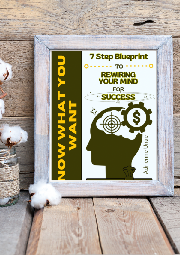 The 7 Step Blueprint to Rewiring Your Mind for Success is one that can assist you along life’s journey. I started over, U can 2.